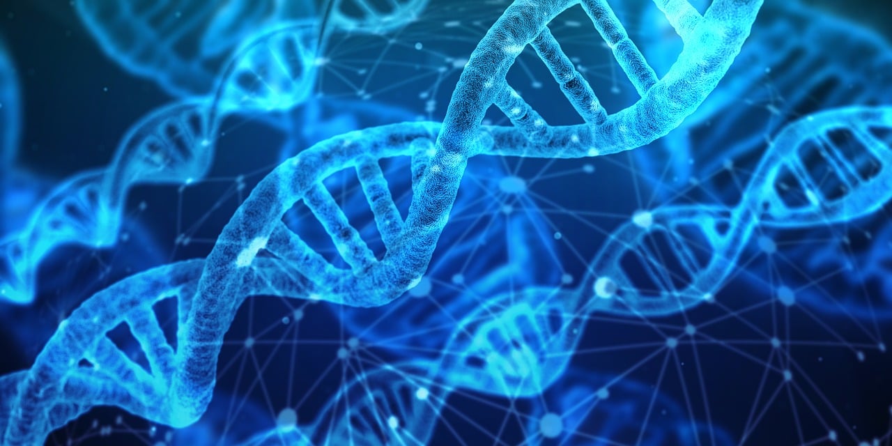 innovation 2025: wie neue Technologien unser Leben verändern werden