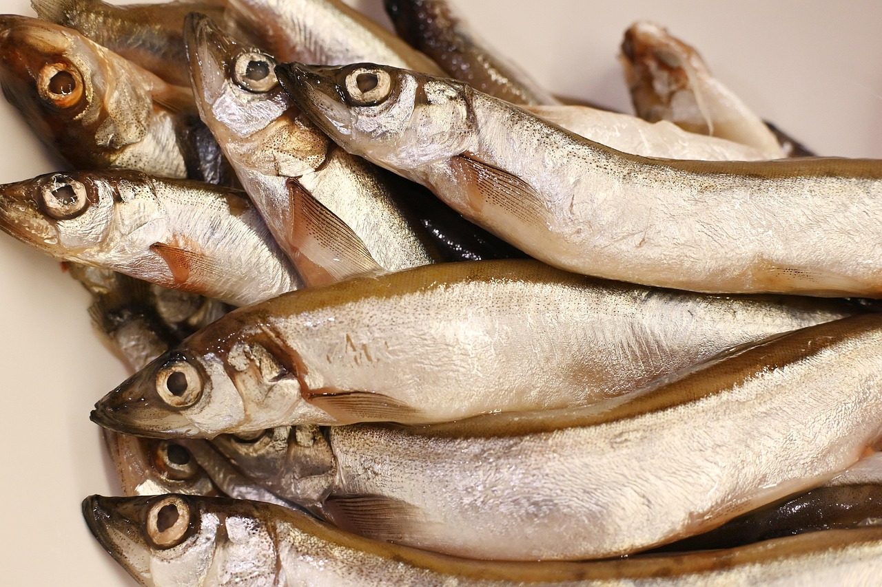 entdecken sie zeitsparende kochtechniken und rezepte, die ihnen helfen, köstliche mahlzeiten schnell und einfach zuzubereiten. ideal für vielbeschäftigte menschen, die gesunde und schmackhafte gerichte ohne aufwand genießen möchten.